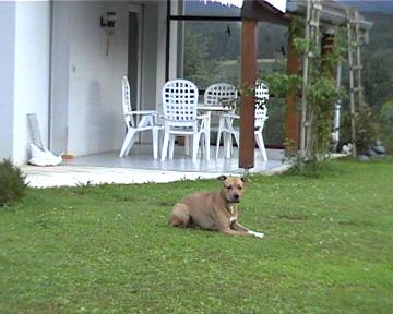Albon sur la terrasse