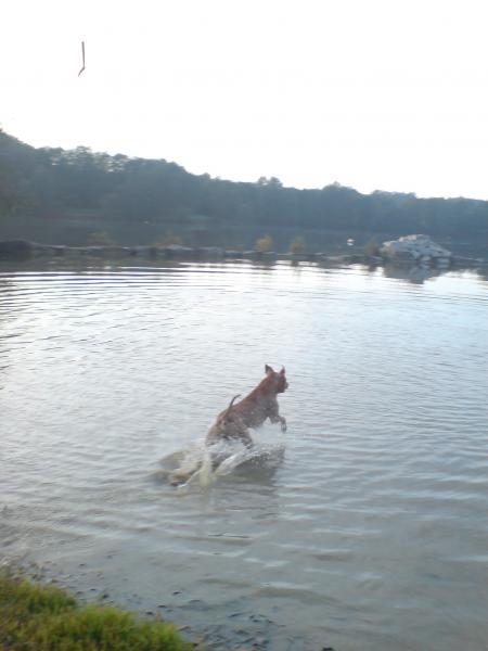 Albon au lac de Courtavon
