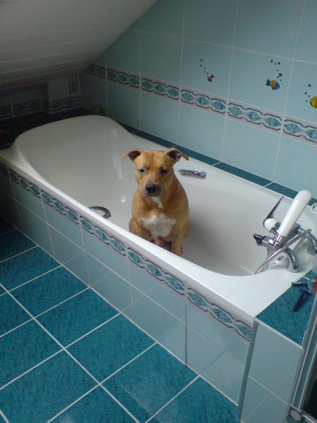 Albon dans la baignoire