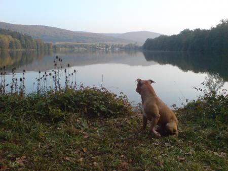 Albon au lac de Courtavon